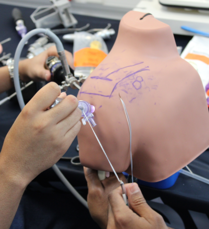 Image for Basic Shoulder & Knee Arthroscopy