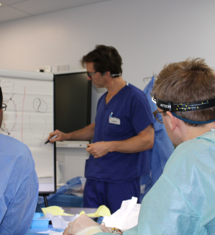 Image for Cadaveric Vascular Lower Limb 2025