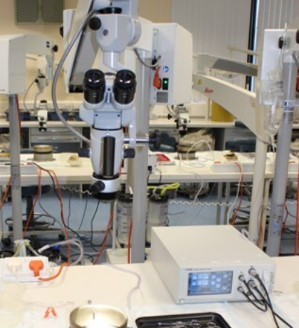 Image for ENT Cadaveric Temporal Bone Course 2025