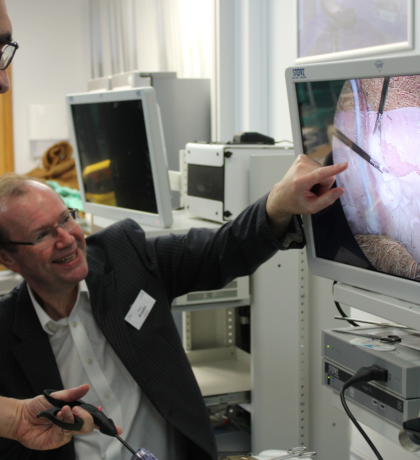 Image for Laparoscopic Inguinal Hernia Repair Course