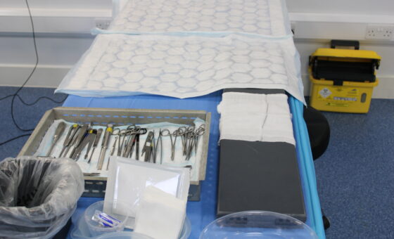 Cadaveric Foot & Ankle Course