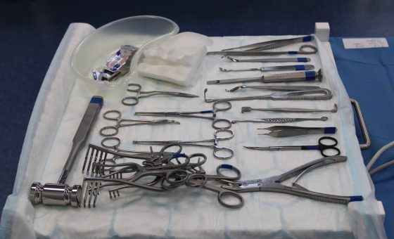 Cadaveric Hand & Wrist Course