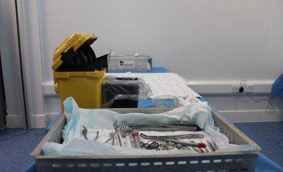 Cadaveric Partial Knee Replacement Course