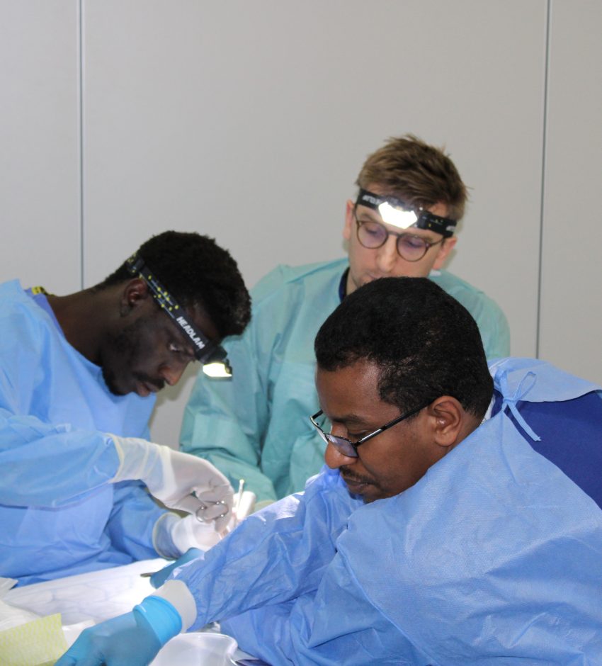 Cadaveric Vascular Lower Limb Course